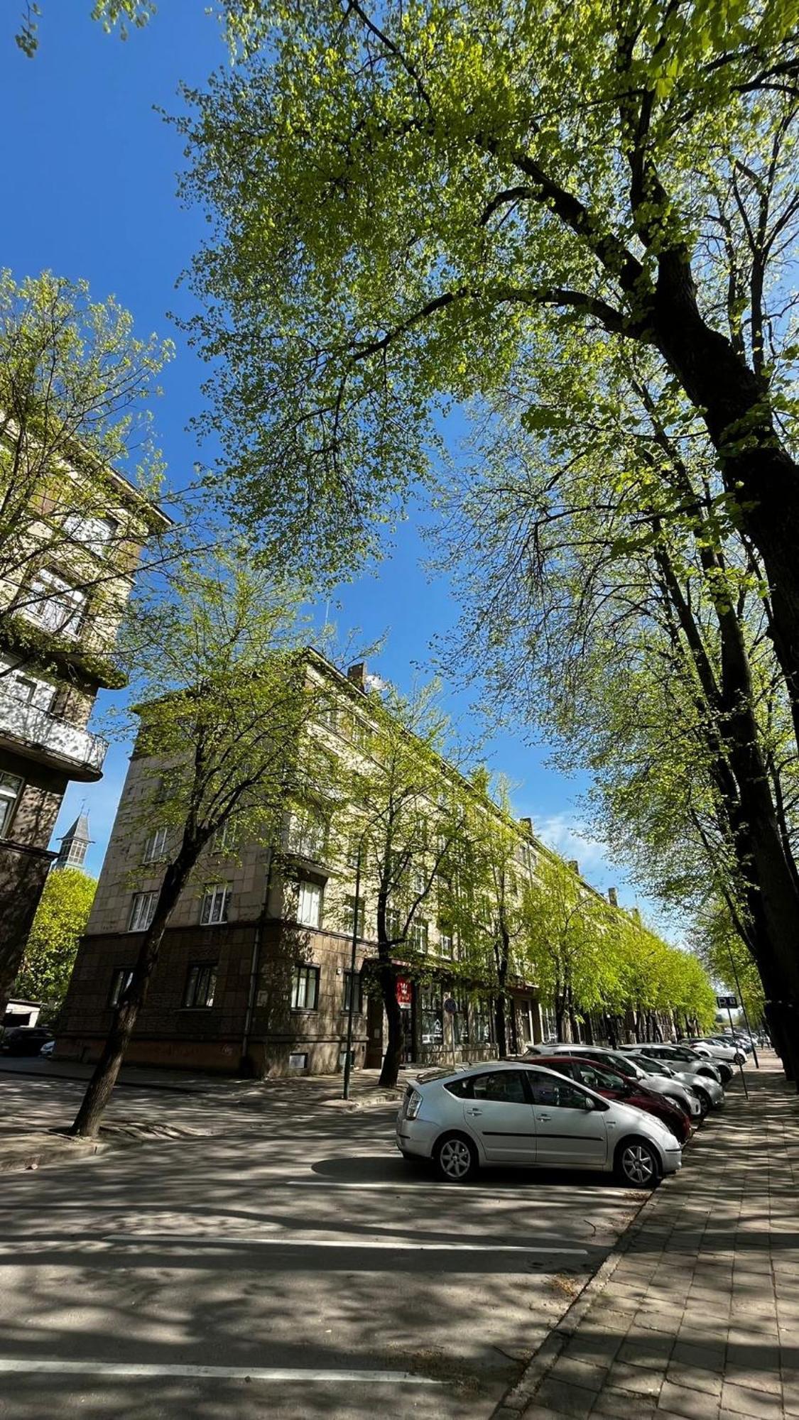 Heritage House Dane Apartment Kłajpeda Zewnętrze zdjęcie